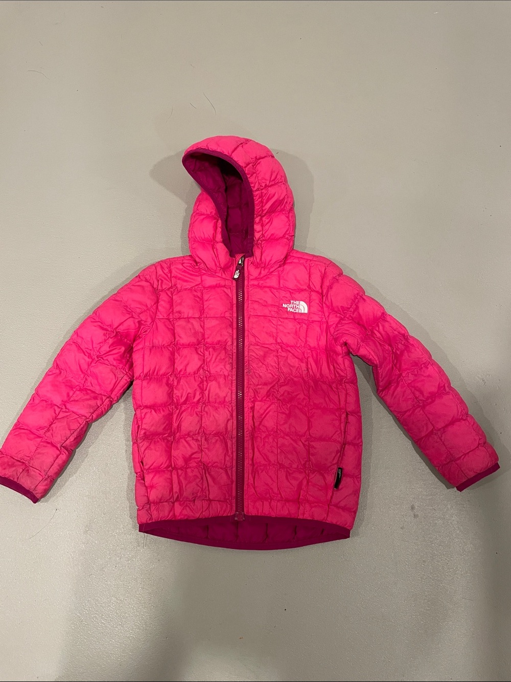 The North Face Kids Hot Pink Hooded Puffer Jacket